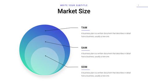 Accelerator Startup Presentation Template