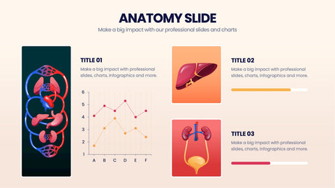 Anatomy Infographics
