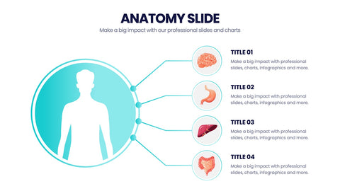 Anatomy Infographics