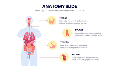 Anatomy Infographics