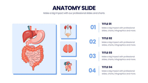 Anatomy Infographics