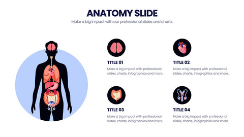 Anatomy Infographics