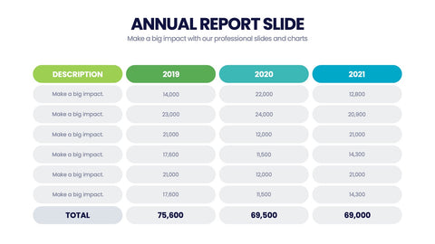 Annual Report Infographics