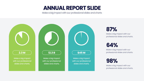 Annual Report Infographics