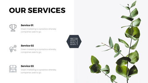 Apollo Minimal Presentation Template