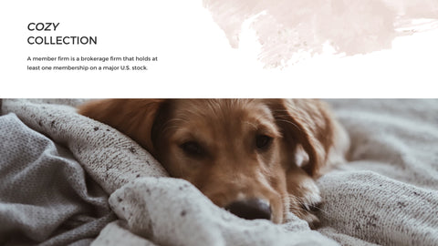 Aurora Minimal Presentation Template