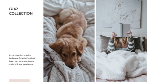Aurora Minimal Presentation Template
