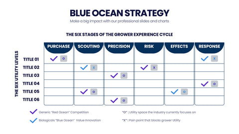 Blue Ocean Strategy Infographics