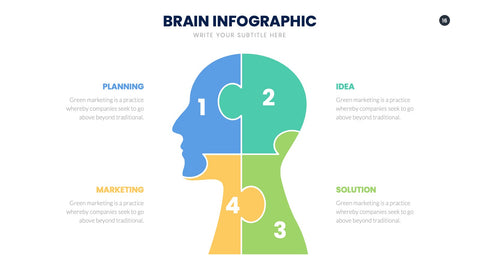 Brain Infographics for Learning & Cognitive Science
