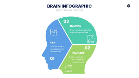 Brain Infographics for Learning & Cognitive Science