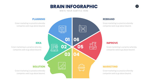 Brain Infographics for Learning & Cognitive Science