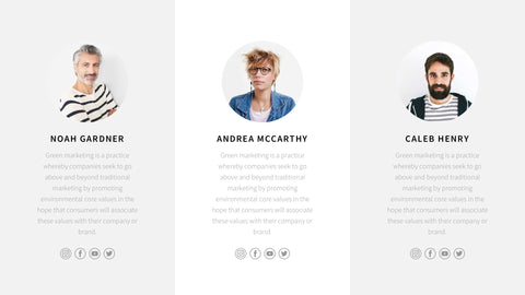 Brice Minimal Presentation Template