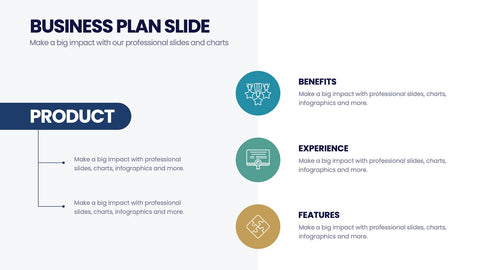 Business Plan Infographics