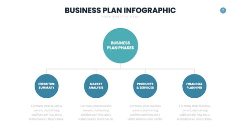 Business Plan Infographics for Pitches & Strategy