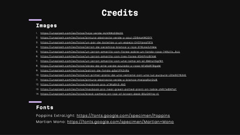 Celeste Professional Portfolio Showcase Presentation