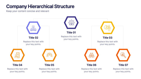 Company Hierarchical Structure Presentation