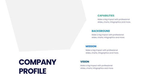 Company Profile Infographics