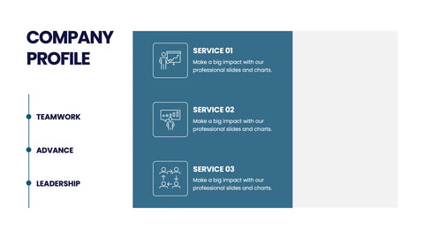 Company Profile Infographics