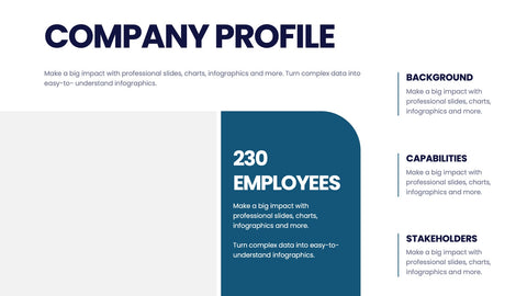 Company Profile Infographics