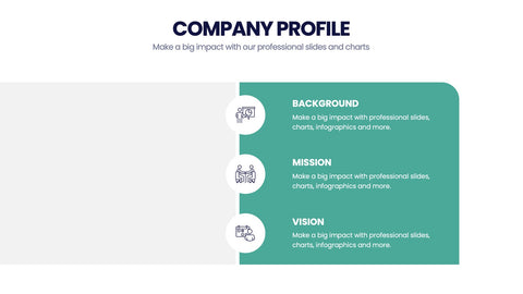 Company Profile Infographics