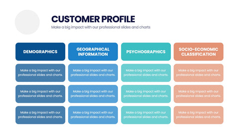Customer Profile Infographics