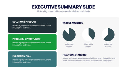 Executive Summary Infographics