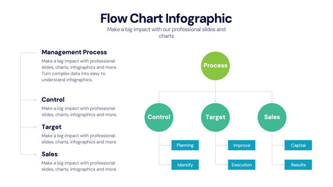 Flow Chart Infographics