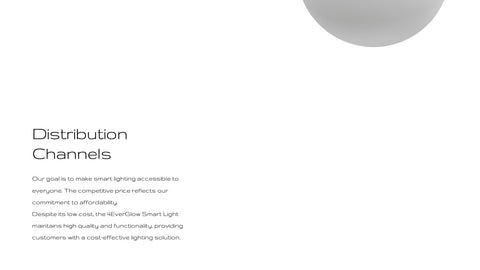 Fortuna Product Development Plan Presentation