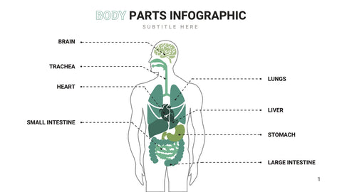 Healthcare Infographics for Medical & Patient Presentations