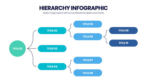 Hierarchy Infographics