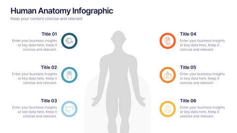 Human Anatomy Infographic Presentation