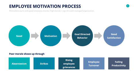 Human Resources Infographics for HR & Talent Management