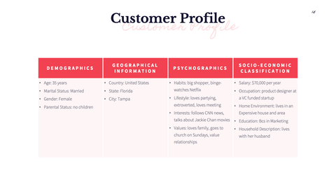 MVP Startup Presentation Template