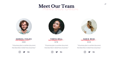 MVP Startup Presentation Template