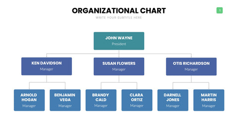 Org Chart Infographics