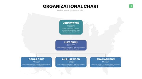 Org Chart Infographics