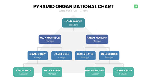 Org Chart Infographics