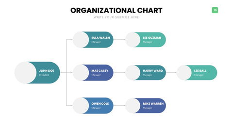 Org Chart Infographics