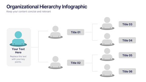 Organizational Hierarchy Infographic Presentation