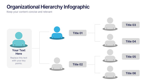 Organizational Hierarchy Infographic Presentation