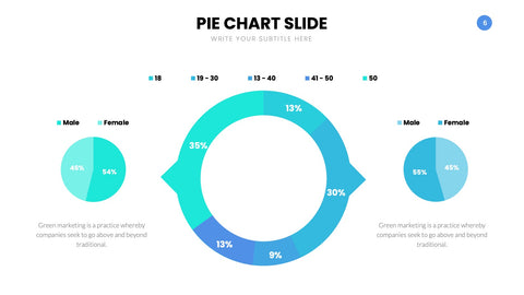 Pie Chart Infographics