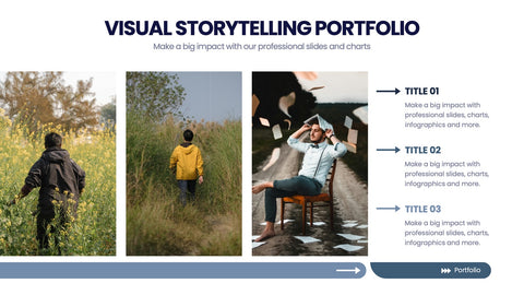 Portfolio Infographics