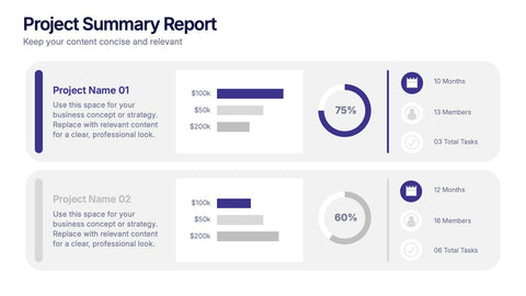 Project Summary Data Report Presentation