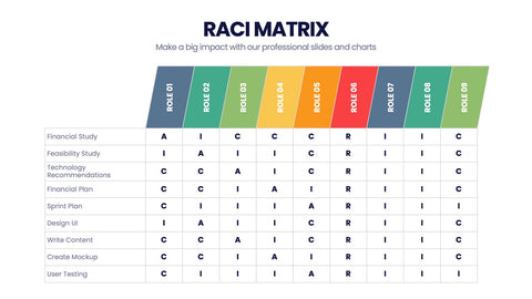 RACI Matrix Infographics