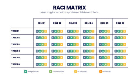 RACI Matrix Infographics