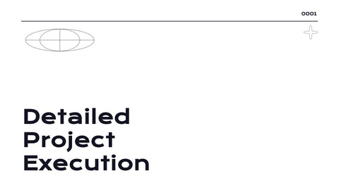 Radiance Detailed Project Execution Plan Presentation