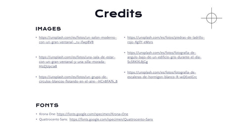 Radiance Detailed Project Execution Plan Presentation