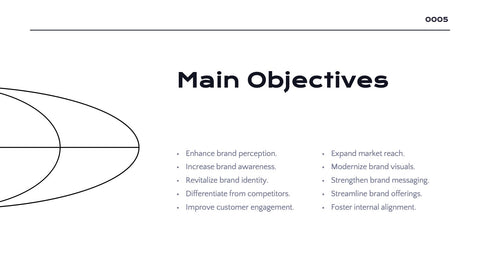 Radiance Detailed Project Execution Plan Presentation