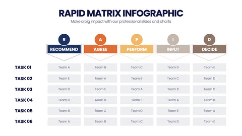 RAPID Matrix Infographics