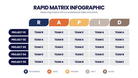 RAPID Matrix Infographics